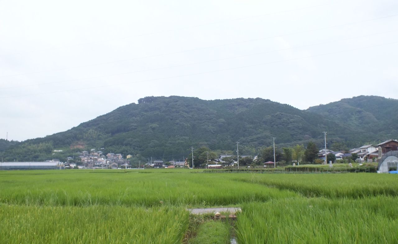 長丘歴史の会 油獏 長丘歴史の会 油獏