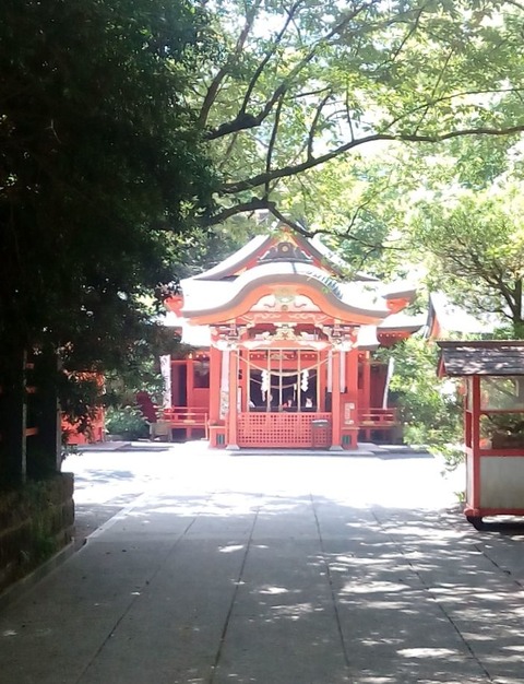 枚聞神社2318