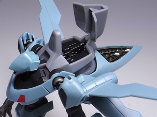 RIMG0017