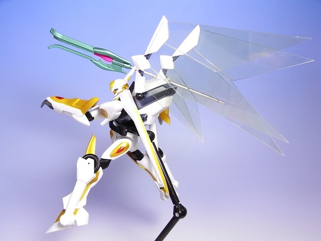 RIMG0037