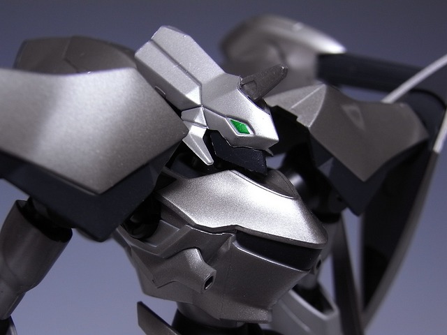 RIMG0016