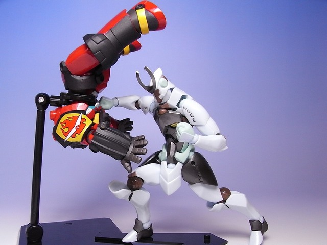 RIMG0030