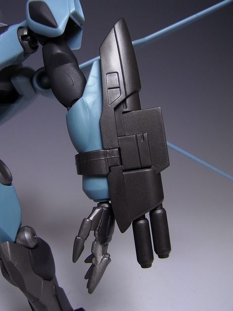 RIMG0020