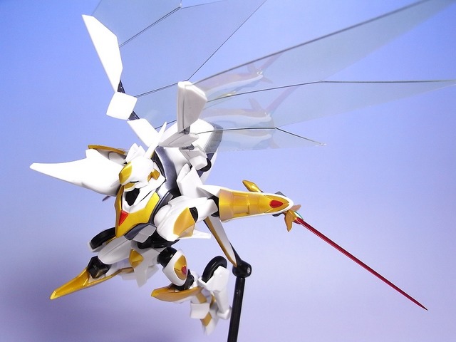 RIMG0018