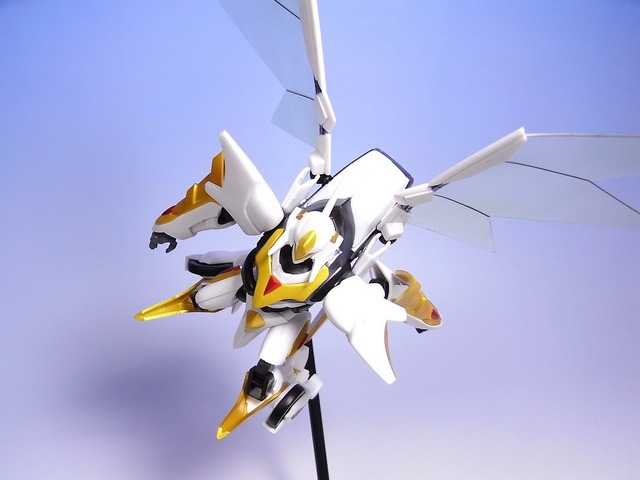 RIMG0021