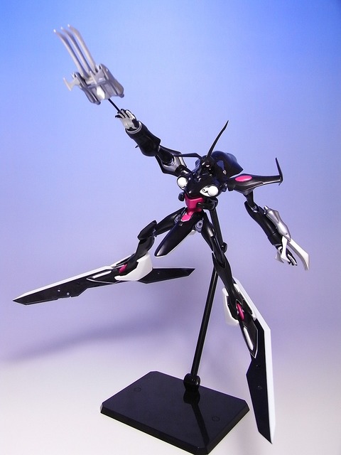 RIMG0003