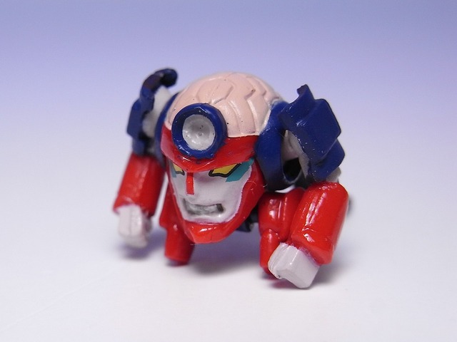 RIMG0017