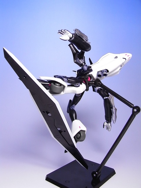 RIMG0018