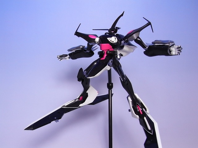 RIMG0036