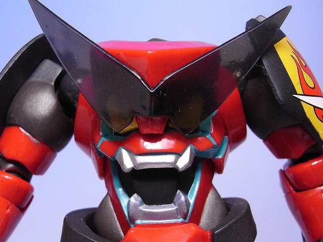 RIMG0055