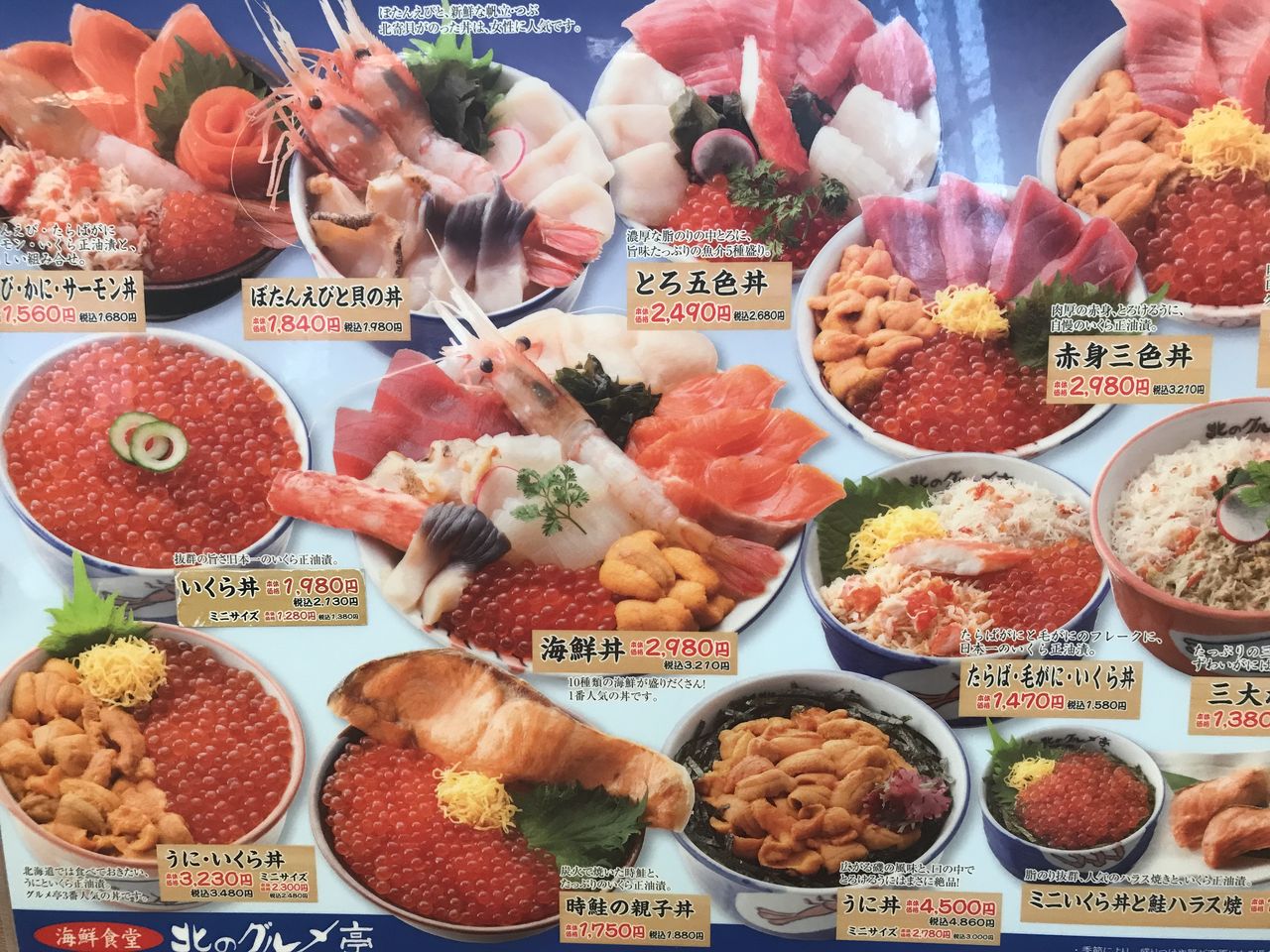 北海道 札幌 北のグルメ亭の海鮮丼 揚げ物放浪記 油の大将