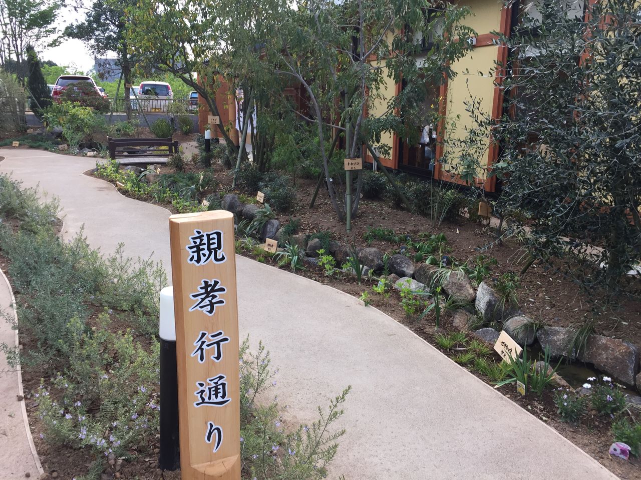 茨城 石岡 坂東太郎 鍋焼きうどん 揚げ物放浪記 油の大将