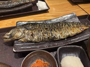 20251009_032237842_iOS