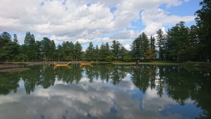 DSC_7220