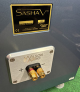 sashav_30