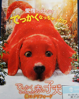 映画鑑賞＜でっかくなっちゃた赤い子犬　僕はクリフォード＞
