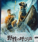 映画鑑賞＜野性の呼び声＞
