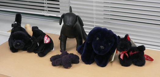 黒犬ぬいぐるみ アクセラ生活