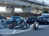 IMG_0915