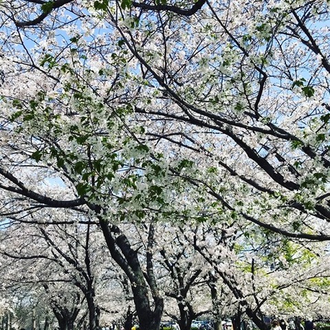 C91DE434-65A6-4770-85B7-9953568F1076