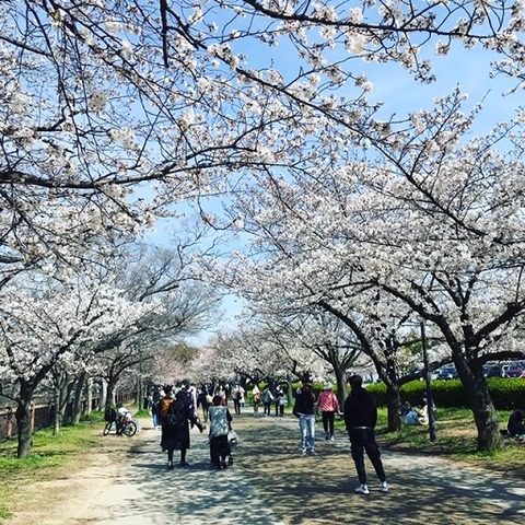 38523809-419C-405B-9356-9CED5452D5F0