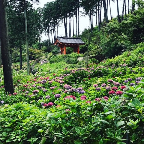 BAB8B202-10C5-41B3-BADE-B212E8F345AF