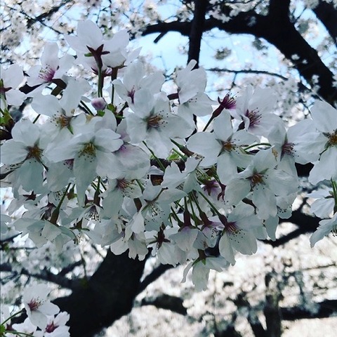 338BA4BE-903A-442A-A669-6AFFF7BAE227