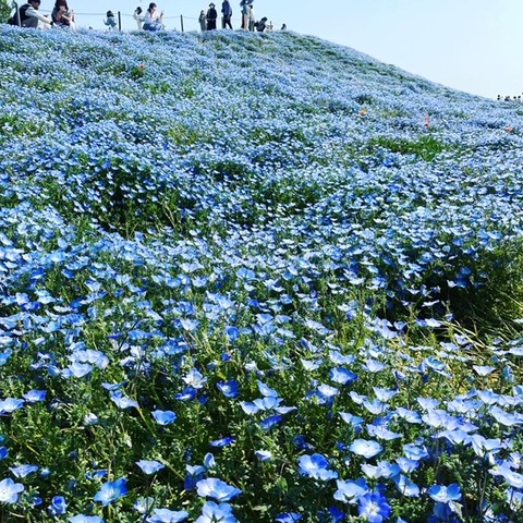 AB8EF8B9-CDEA-4E63-A6B4-0429106BA67E