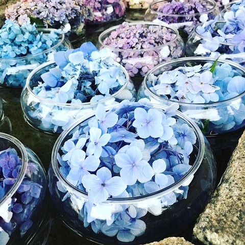 EA6B4FDA-1856-4302-AE46-AA4BE3209D43