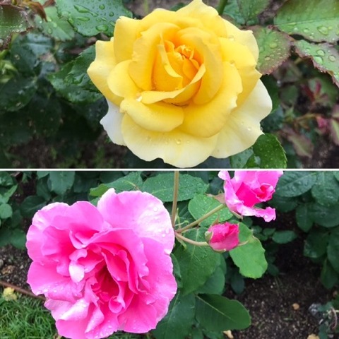 48064996-EB6E-49EF-9156-81E40CBF77A4