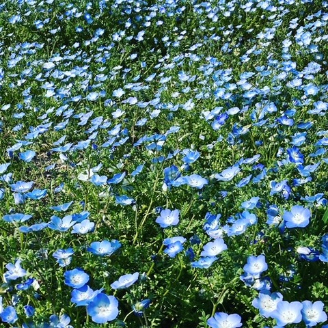 527AA256-D8F8-4D7A-9842-4580B2CB6CE6