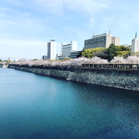 34B9C44F-FC25-4030-A2BA-8D6DDBABBD5C