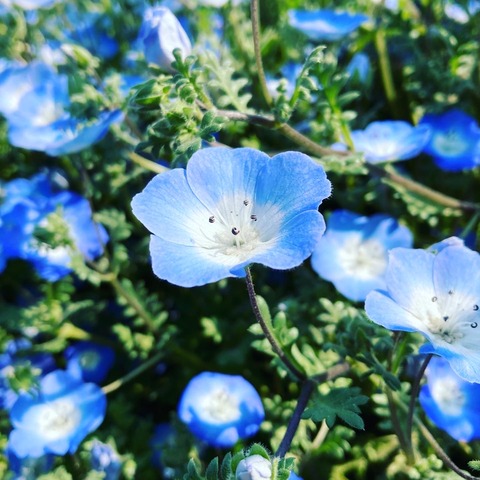 EF6776B0-F0C2-4199-A130-1C85140717A2