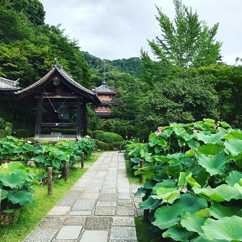 7F1EDBD8-DC4A-49B3-9074-40CC572A84FB