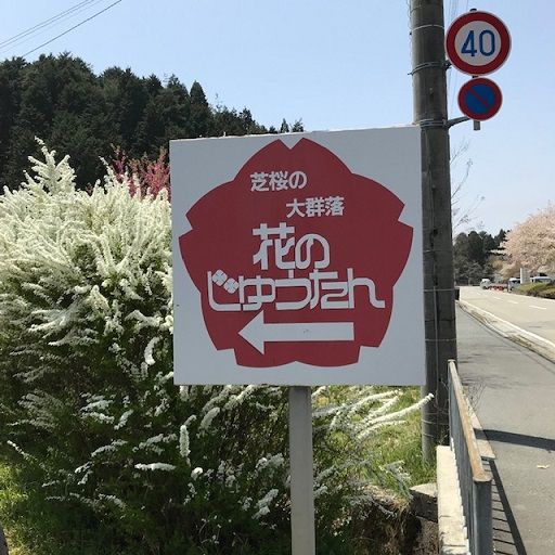 芝桜専門庭園 花のじゅうたん 兵庫県三田市 旅 美味しいものに囲まれて