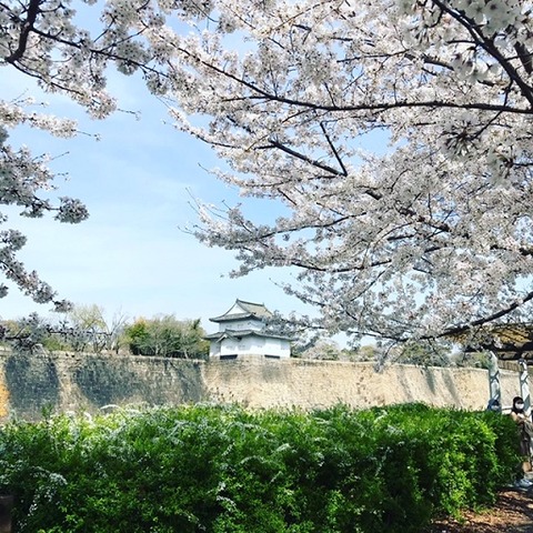 B2B19130-02D1-4DB3-BF6B-FB68F00197F6