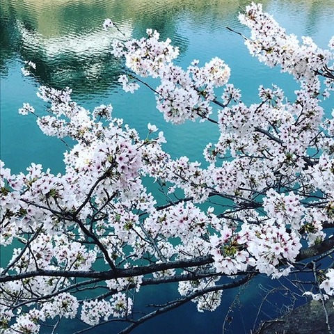 F7639FC9-D244-430D-BC97-8DDF51D97283