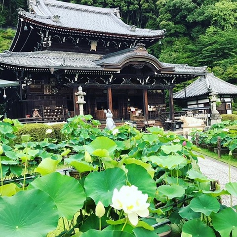 30C102D8-923C-463F-A6CA-7CD80DAD444F