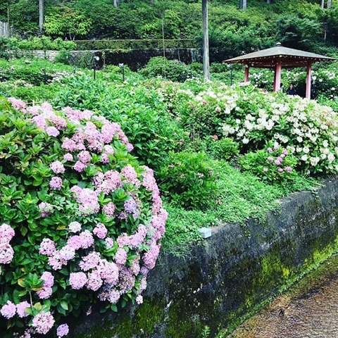 CCB5998C-4523-4F14-BDDF-1F0BBCCA77EA