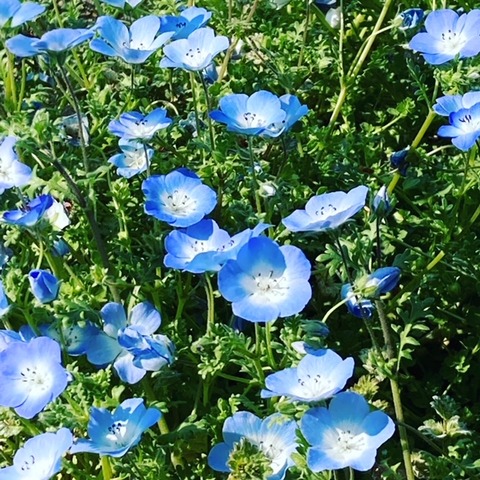 F47C3F09-80BB-4388-8717-46C6B753D2B6