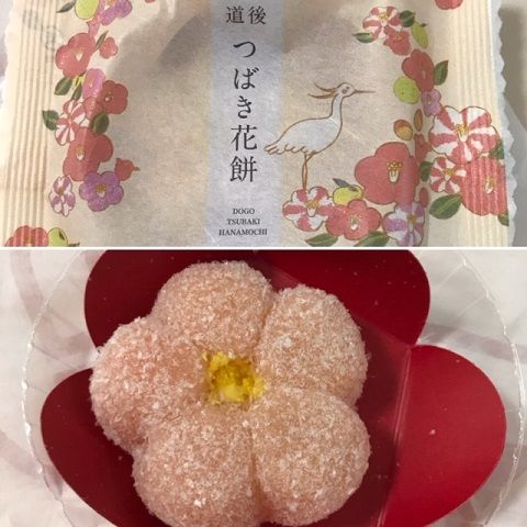 イメージ 8