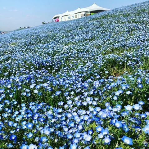 104F5027-6019-47C4-A5F1-293476DECD45