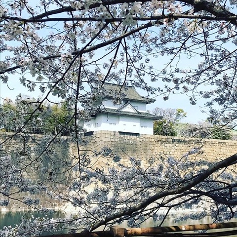 B9A03055-E3A8-4846-B9E1-4EA223FB2E85