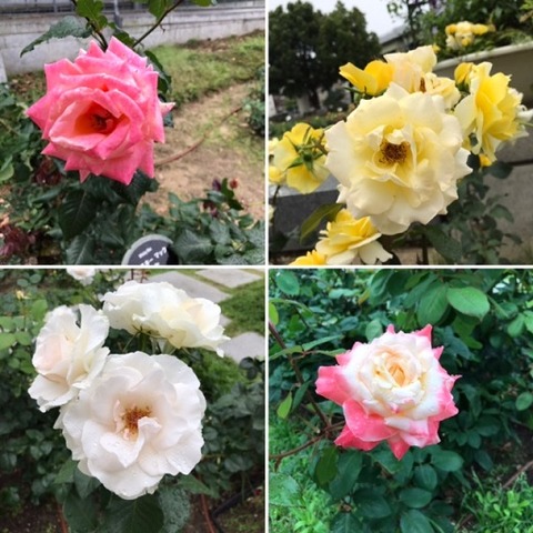 BD6A7D27-5BF2-455F-B2C7-B889FDAAECDB