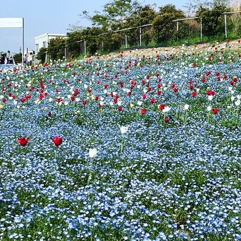 C9D5C956-BDDB-4D67-833E-4C423D35A86C