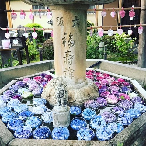 226EDA88-F3EE-4996-B08F-96AB10CDCE6B