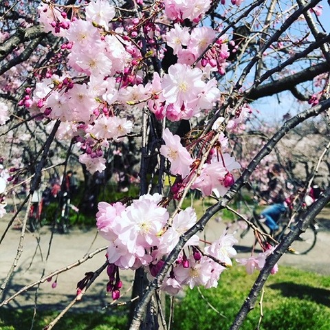 03F00082-989E-40A0-B8CF-6EC3DB33EBFB