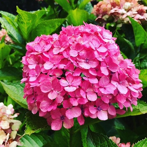 16B23574-330E-4283-A779-3280CA39B88E