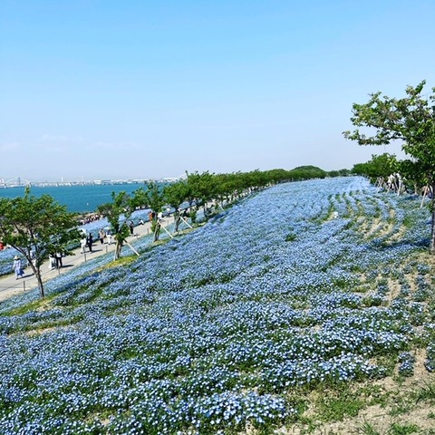 ADF34CFD-9FA3-49C9-9400-B1B43DD8A785