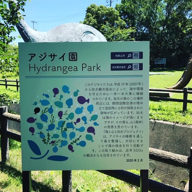 和歌山森林公園の紫陽花 和歌山市 旅 美味しいものに囲まれて